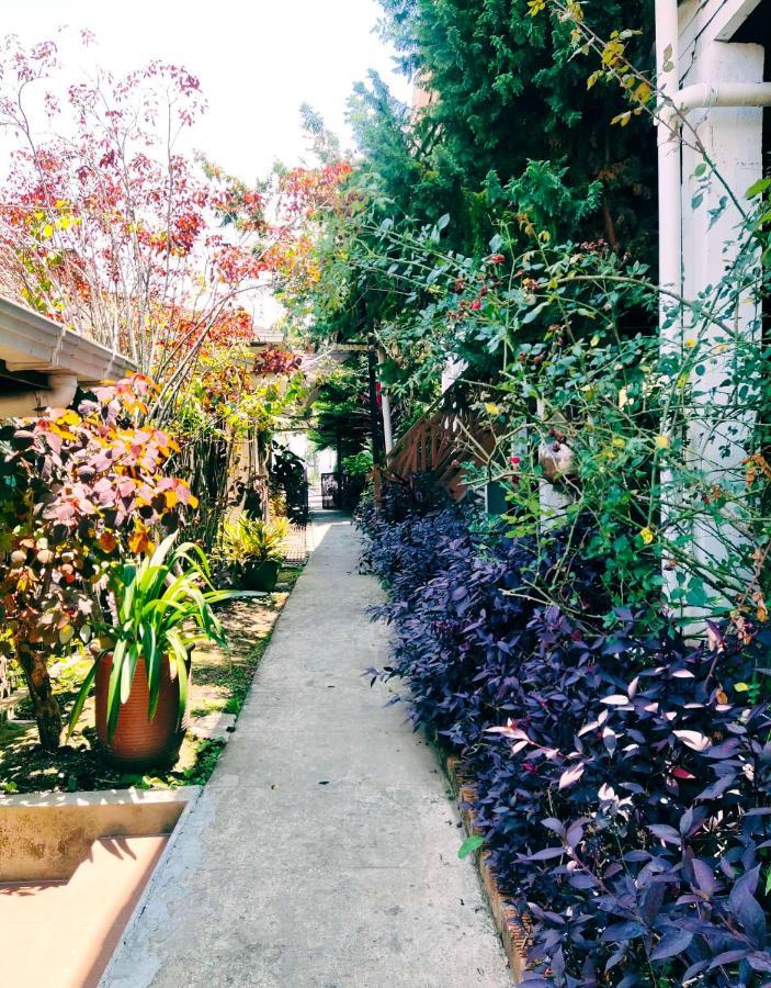 Nabalu Kampong Kundassan Exterior foto